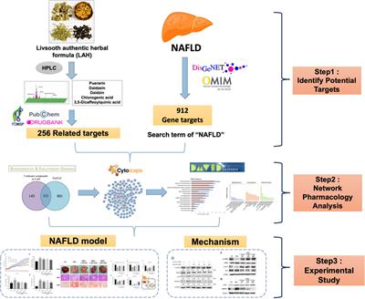 Hepatoprotective effect of botanical drug formula on high-fat diet-induced non-alcoholic fatty liver disease by inhibiting lipogenesis and promoting anti-oxidation